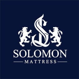https://static.homepro.co.th/seller/shop/1282/resize_256x256_1756456385488-LOGO SOLOMON-04_0.jpg